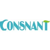 Consnant Technology