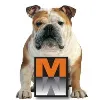 Master Wall Inc.