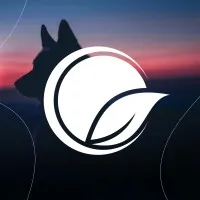 Conseil régional de l'environnement et du développement durable de l'Outaouais (CREDDO)