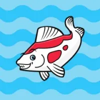 coi - Shopify Agency