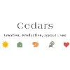 Cedars Of Marin