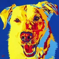The Barking Lounge
