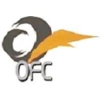 Nagy El Shahawy Financial & Tax Consultancy