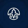 VertiLink Advanced Air Mobility Group