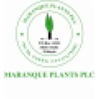 MARANQUE PLANTS PLC