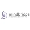Mindbridge Business Solutions Mindbridge Business Solutions