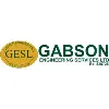 Gabson Engineering Services Limited Gabson Engineering Services Limited