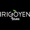 Irigoyen Farms, Inc Irigoyen Farms, Inc