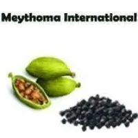 Meythoma international Meythoma international