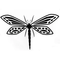 Dragonfly Central, Inc. Dragonfly Central, Inc.