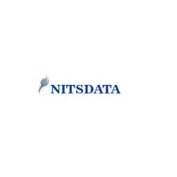 NITS Data Services Inc