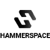 Hammerspace