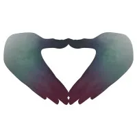 Empowered Chiropractic