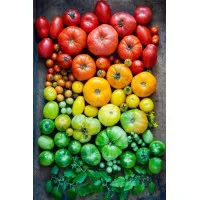 Ramekins Culinary School, Events & Inn