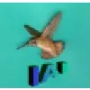 IAI IAI
