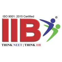IIB Career Institute Private Limited 