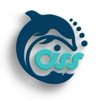 CISS GROUP