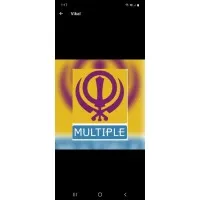 Multiple Industries Limited