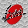 Abd El Aziz El Sallab