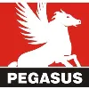 Pegasus Farmaco India Pvt Ltd Pegasus Farmaco India Pvt Ltd
