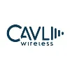 Cavli Wireless Cavli Wireless