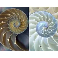 Baywood Learning Centers