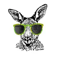 Down Under Foods, LLC (DBA “Cup of Joey” Down Under Foods, LLC (DBA “Cup of Joey”