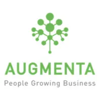 Augmenta Consulting