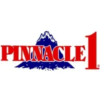 Pinnacle 1 Tax Service