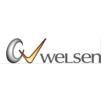Welsen Consulting Group