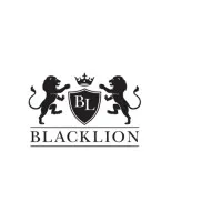 Blacklion Holdings
