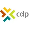 CDP Engineers CDP Engineers