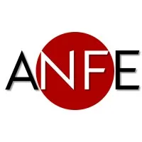 ANFE Consulting ANFE Consulting