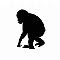 Ape Do Good Screen Printing