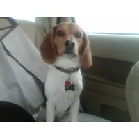 Blank page Forest Hill, United States Blank page Forest Hill, United States