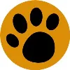 WildTrails... For Ultimate Wildlife Holidays WildTrails... For Ultimate Wildlife Holidays