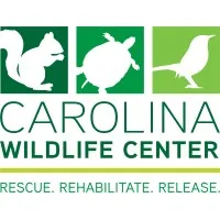 Carolina Wildlife Center Carolina Wildlife Center