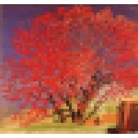 Innovative Pathways Inc.