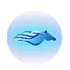 Hashvatech Global Pvt LTD Hashvatech Global Pvt LTD