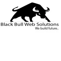 BlackBull Solutions