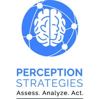 Perception Strategies