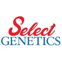 Select Genetics LLC Select Genetics LLC