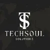Techsoul Solutions Techsoul Solutions