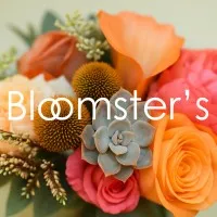 Bloomster's
