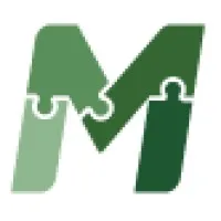 More Solutions Group