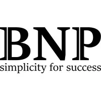 Business Networking Portal (BNP) email format