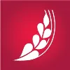 ROSE BLANCHE Group ROSE BLANCHE Group