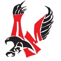 A&M CONSULTANTS A&M CONSULTANTS