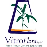 Vitroflora - Plant Tissue Culture Specialists Vitroflora - Plant Tissue Culture Specialists