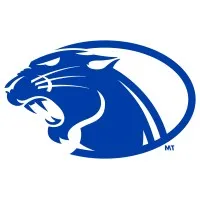 Panther IT Panther IT